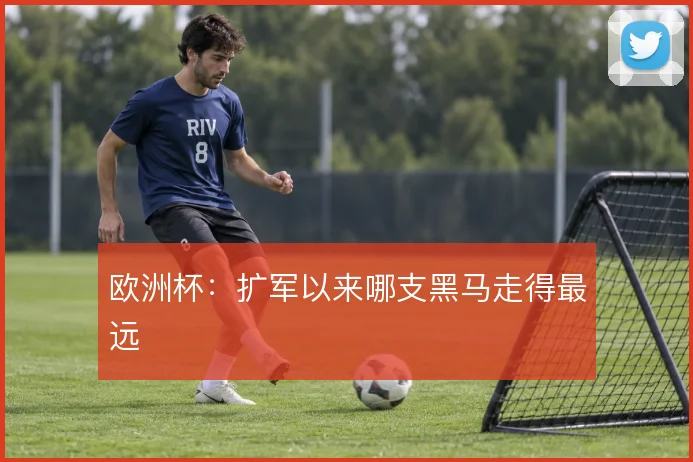 欧洲杯：扩军以来哪支黑马走得最远